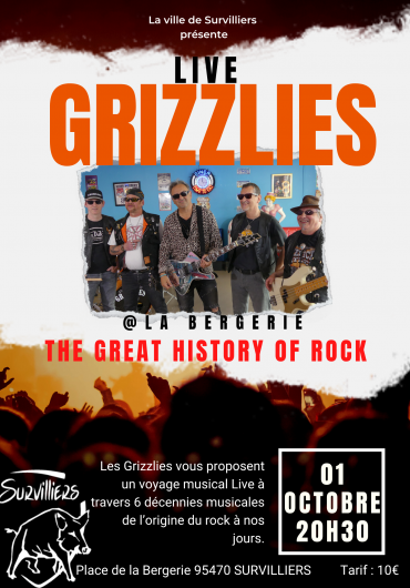 affiche concert grizzlies