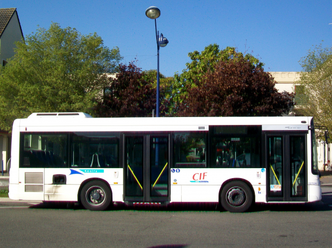 bus