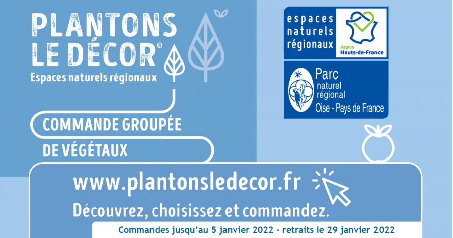 plantons le décor