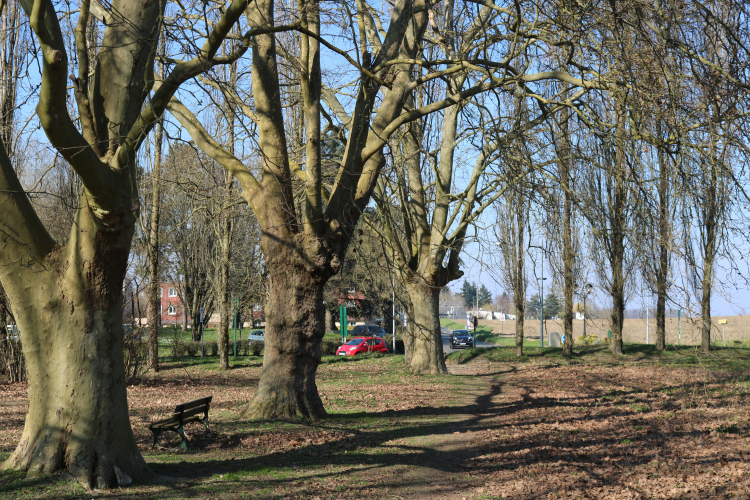 CHEMIN D’ENFRESNE