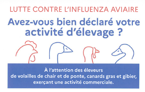 Lutte contre la grippe aviaire