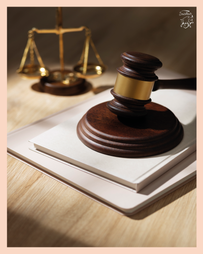 permanences juridiques